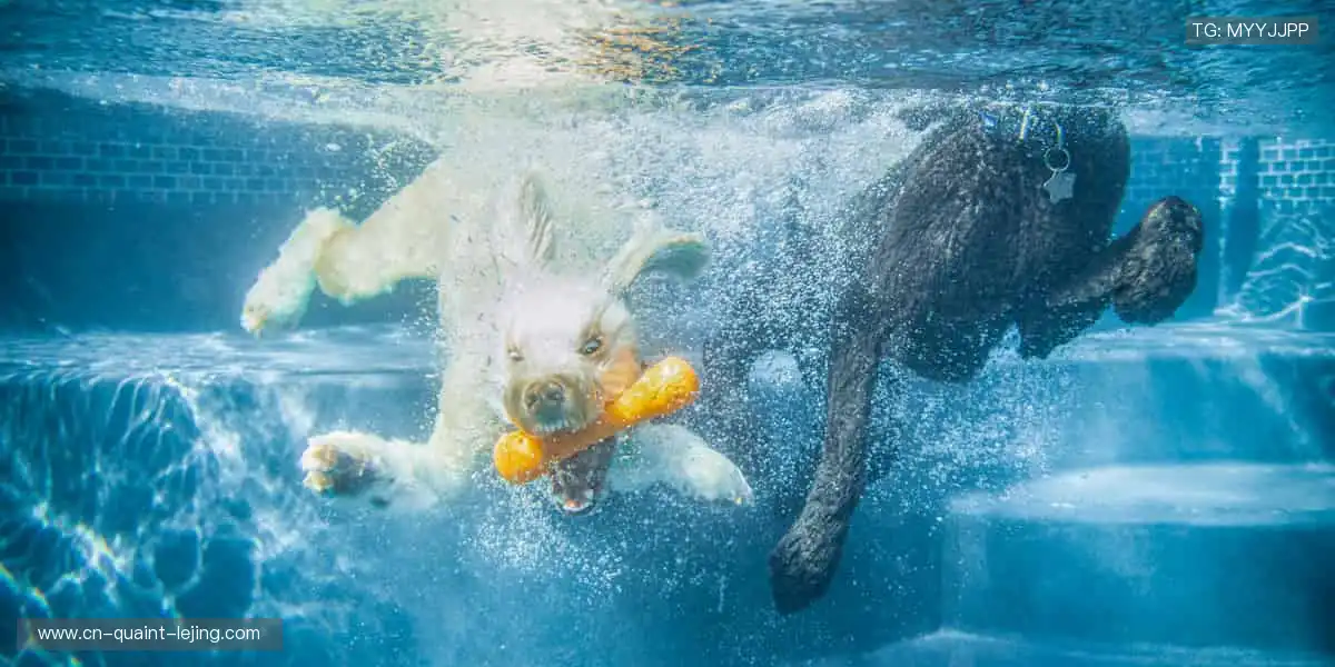 一键开启直播，弹幕互动，和全球球迷一起沸腾💬🌍